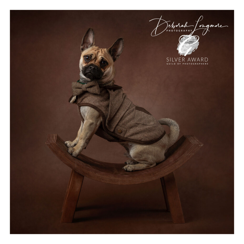 Family & Pet Photography