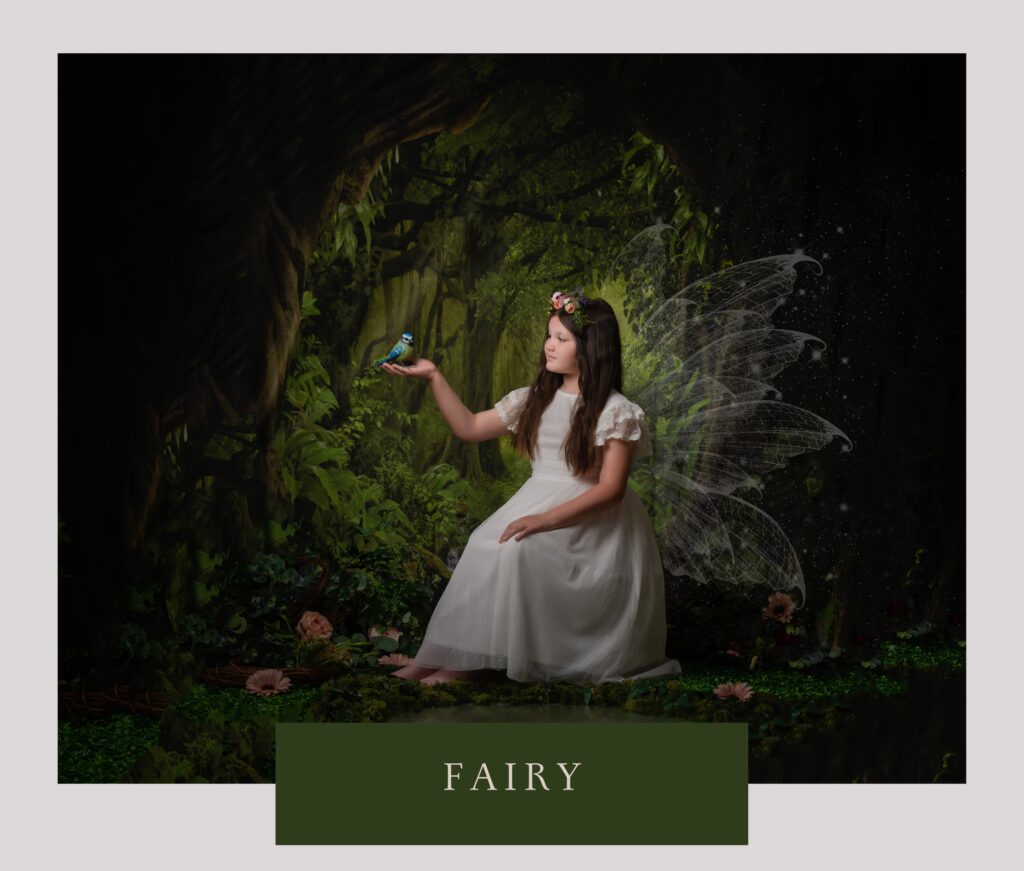 Fairy Photoshoot Birmingham, Fairy Photoshoot Tamworth, Mini Photography Sessions