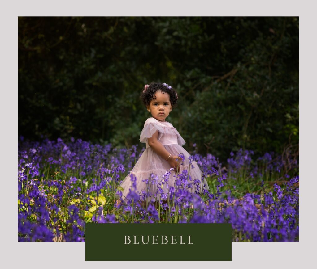 Bluebell Mini Session, Bluebell photoshoot, bluebell photography session, bluebell photoshoot birmingham, bluebell photoshoot tamworth, bluebell photoshoot atherstone