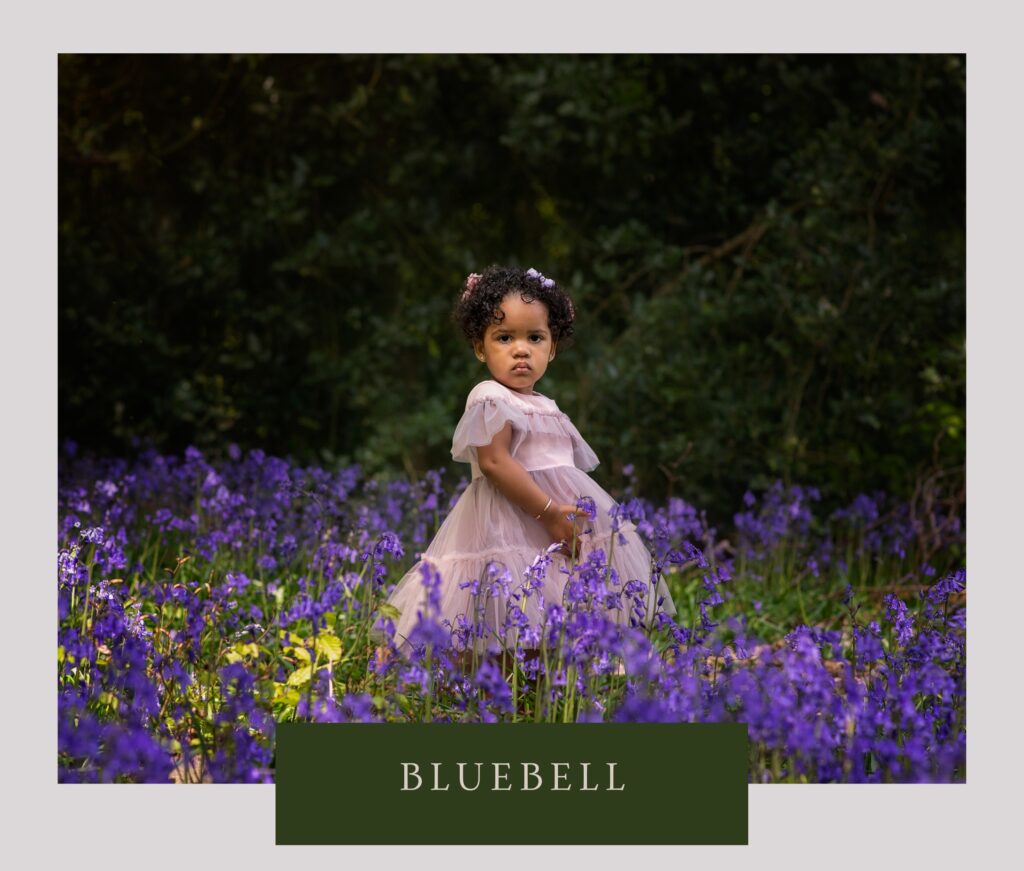 Bluebell Photography Birmingham, Bluebell Photography Tamworth, Mini Photography Sessions