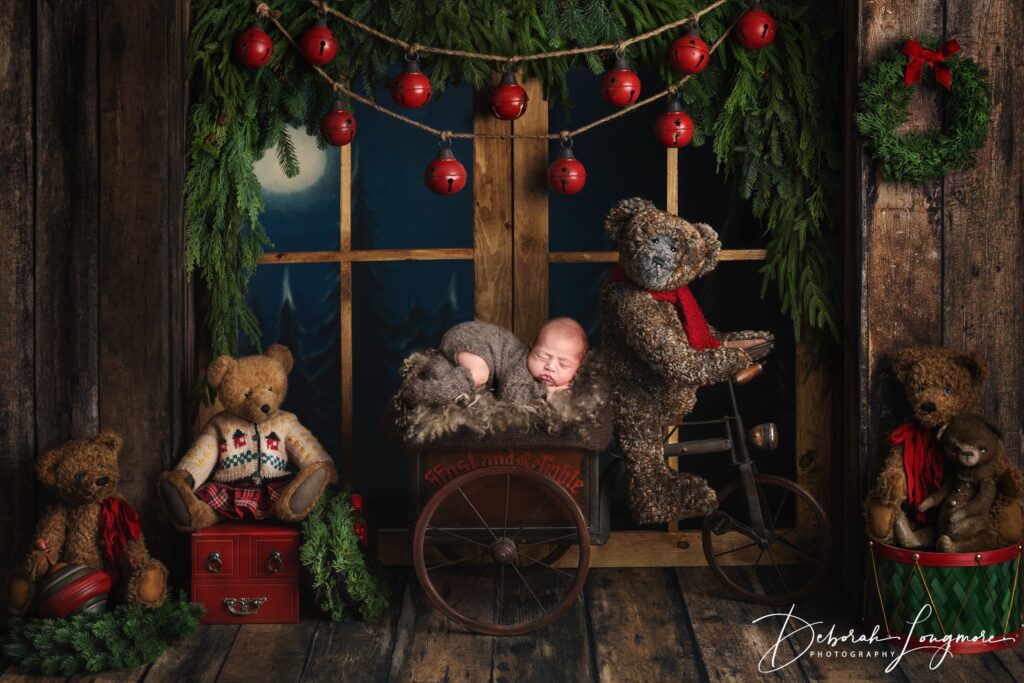 christmas newborn photos