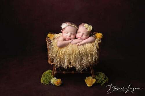 Twin Newborn Photography Tamworth