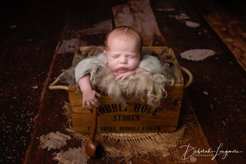 Newborn Photographer Midlands